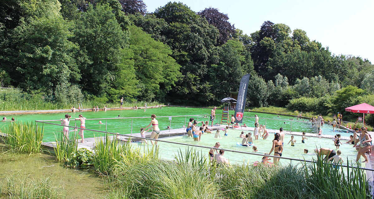 Tien zwemvijvers in Vlaanderen waar je je kan verfrissen deze zomer